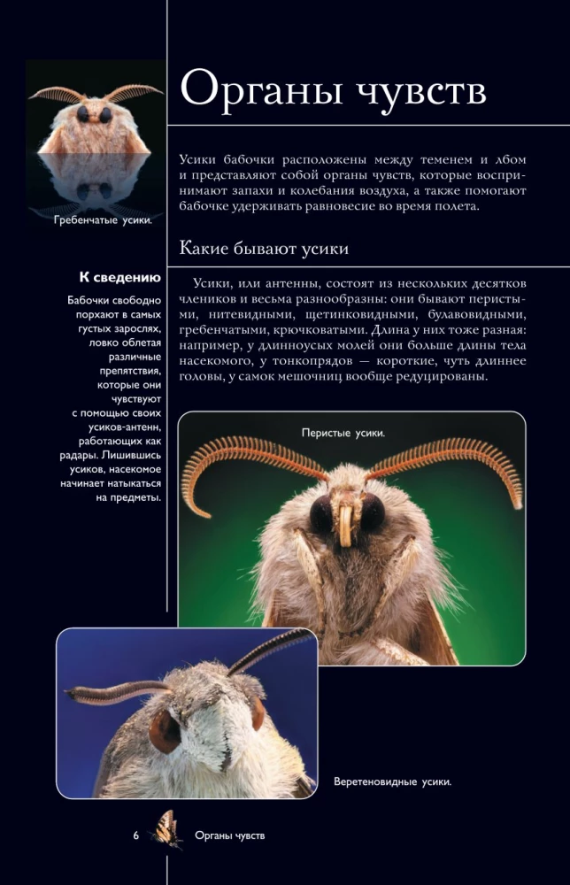 Taureņi. Ilustrēts ceļvedis